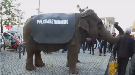 Un éléphant pour la démocratie : un pachyderme se balade à Berlin lors d’une manifestation 