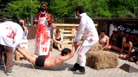 Battus et ligotés : happening des végétariens contre la cruauté envers les animaux en Colombie