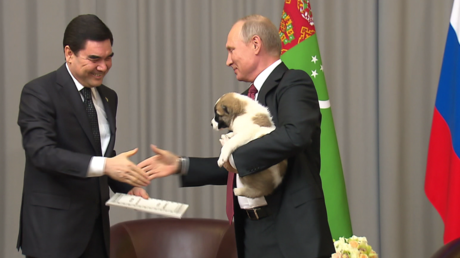 Vladimir Poutine reçoit un chiot comme cadeau d’anniversaire de la part du président turkmène