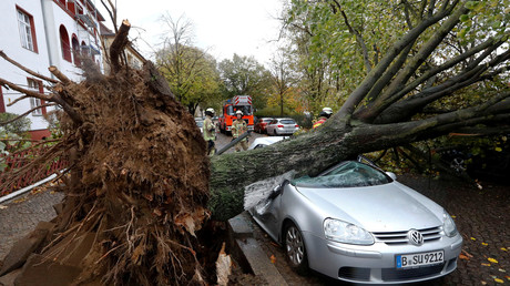 Europe centrale : la tempête Herwart fait au moins sept morts (IMAGES)