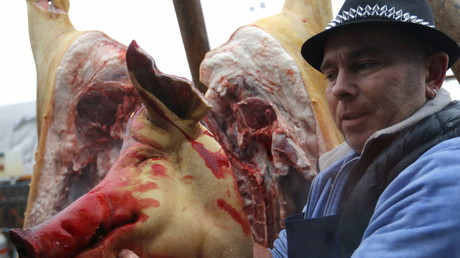 Deux truies dépecées en public : un charcutier suisse déclenche la polémique