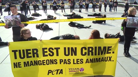 Des militants vegans bouclent «une scène de crime animal» lors de la Journée mondiale vegan à Paris 