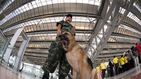 Agent de sécurité dans un aéroport de Bangkok en 2006 (image d'illustration).