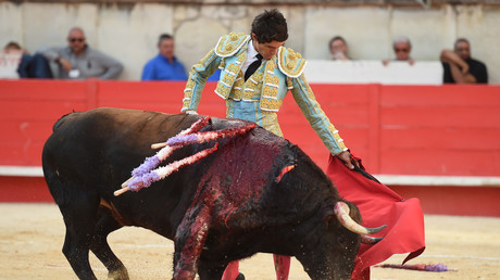 Vers la fin de la corrida ? La SPA lance une offensive judiciaire de grande envergure