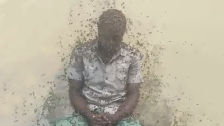 Cameroun : un homme meurt après avoir été attaqué par des milliers d'abeilles (VIDEOS)