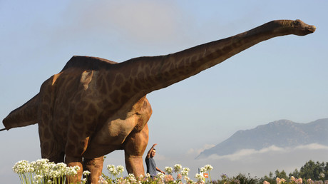 Découverte d'une tique repue du sang d'un dinosaure