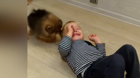 Un bébé joue avec de petits loulous ou... l'inverse