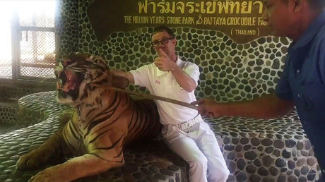 Un touriste se prend en photo à côté d'un tigre, dans un zoo à Pattaya