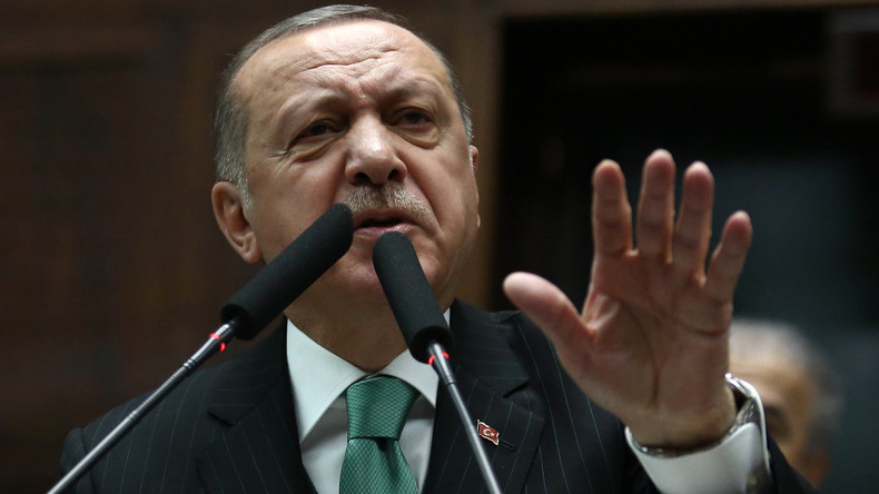 Une caricature d'Erdogan, une banane dans le derrière, retirée d'une foire d'art contemporain