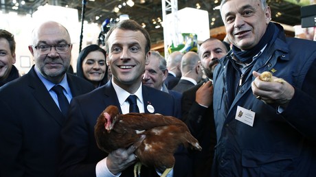 Coup de pub pour le président ? Ecran de fumée ? La remise d'une poule à Macron fâche Twitter