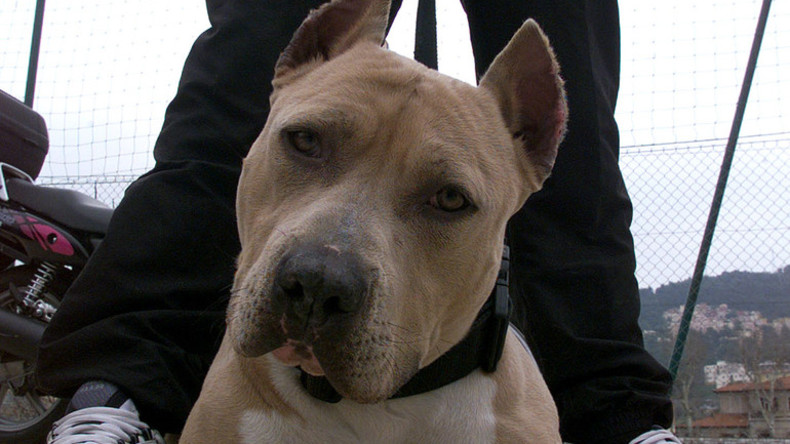 Un Américain blessé après s'être fait tirer dessus par son chien