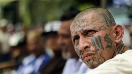 «Je les qualifie d'animaux et je le ferai toujours» : Trump renchérit sur les membres du gang MS-13