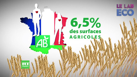 Ep. 27 - Sanctions américaines et Marché du bio #LABECO