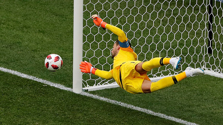 France-Uruguay : Hugo Lloris avale une libellule, internet se déchaîne