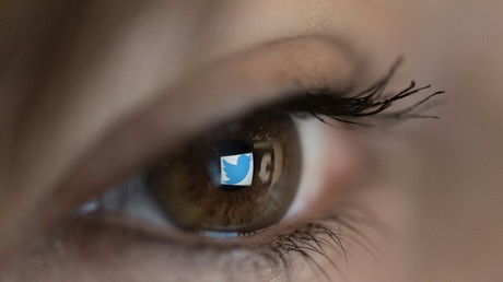 «Matricule 33939 ? Présent !» : fichés pour leurs tweets sur Benalla, les internautes réagissent