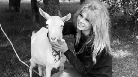 La comédienne Brigitte Bardot et une chèvre dans les années 1960.
