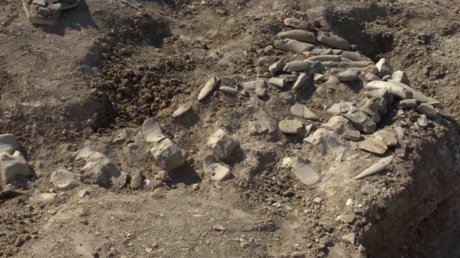 Russie : un fossile de baleine datant de 10 millions d'années découvert en Crimée 