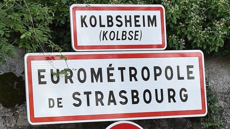 Une eurodéputée EELV perd connaissance après avoir été gazée dans la ZAD de Kolbsheim (IMAGES)