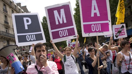 Des pancartes pour l’extension de la PMA, lors de la Gay Pride de Paris de juin 2013 (image d'illustration).