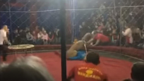 Horreur au cirque : en Russie, une lionne attaque une fillette de quatre ans (VIDEO CHOC)