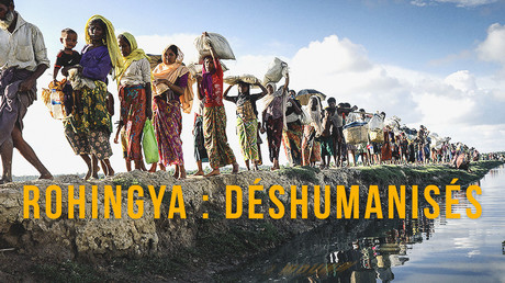 Rohingya : déshumanisés
