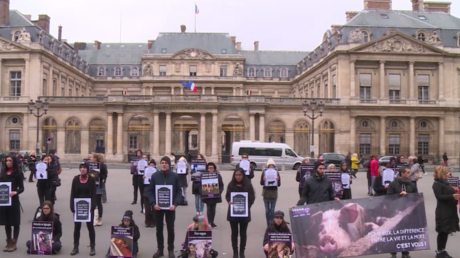 Paris : des militants imitent un égorgement pour la Journée mondiale du véganisme