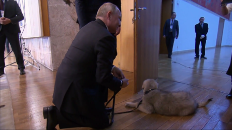 Vladimir Poutine joue avec un chiot offert par le président serbe