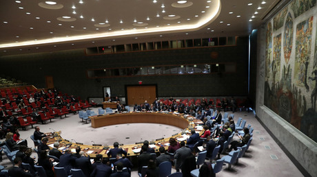 Qu'est-ce que la co-présidence franco-allemande du Conseil de sécurité de l'ONU ?
