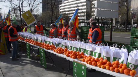 Espagne: des «Gilets oranges» protestent contre les importations d’oranges dans l’UE