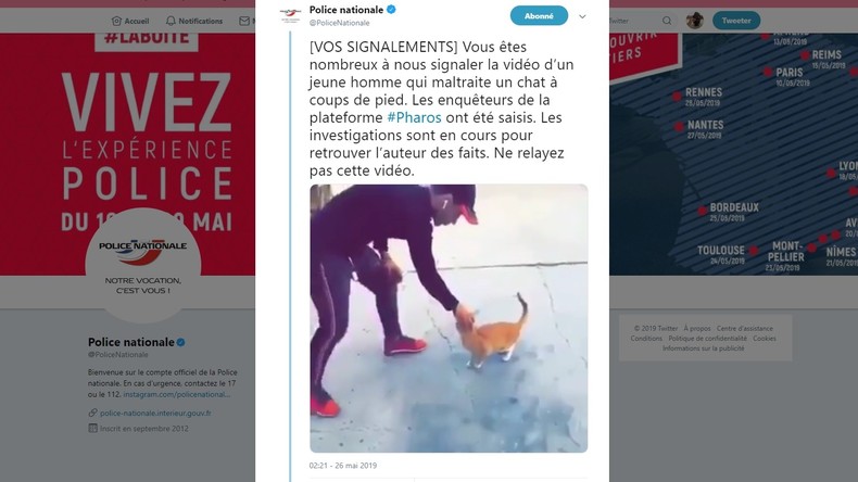 Un jeune homme filmé en train de maltraiter un chat scandalise internet (VIDEO)
