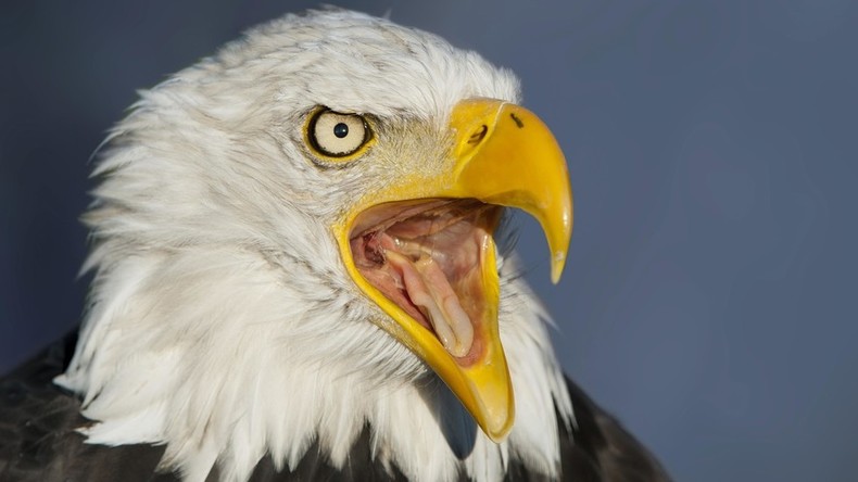 La démocratie génocidaire, par Bruno Guigue