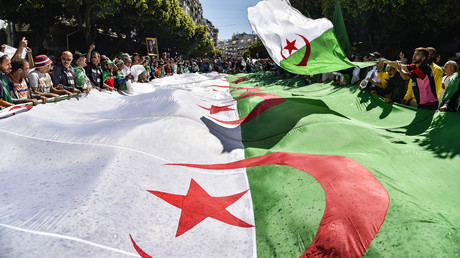 Des Algériens agitent l'emblème national lors d'une manifestation contre le pouvoir, le 31 mars 2019 à Alger (image d'illustration). 