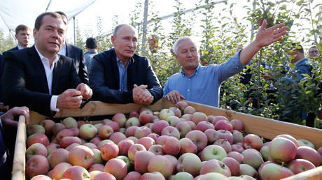 Vladimir Poutine et Dmitri Medvedev visitent une exploitation agricole près de  Stavropol, le 9 octobre 2018 (image d'illustration). 