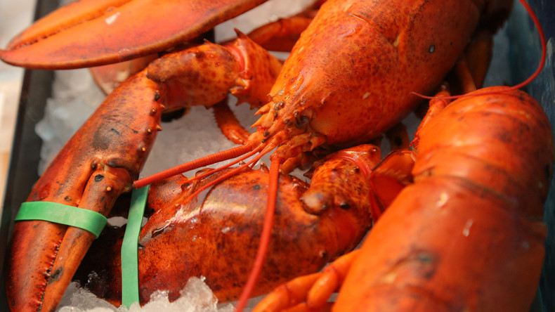 Le homard de la honte : une ambassade d'Israël moquée pour avoir (mal) dissimulé un repas non casher