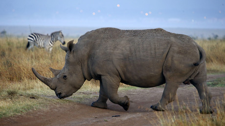 Les gérants d'un Super U quittent leurs fonctions après une polémique sur un safari en Afrique