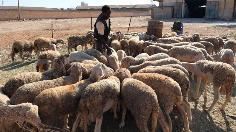 Libye : à la veille de l'Aïd, les pro-Haftar acceptent la «trêve humanitaire» réclamée par l'ONU