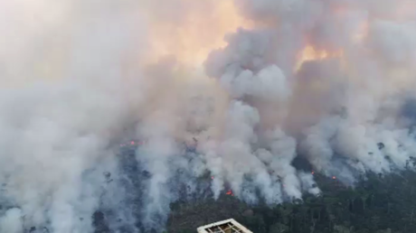 Brésil : l’Amazonie ravagée par de violents incendies