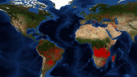 Feux de forêt en Amazonie et en Afrique subsaharienne : une indignation à géométrie variable ?