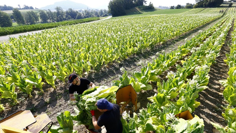 Démantèlement d'un réseau franco-bulgare de traite d'êtres humains dans le Beaujolais