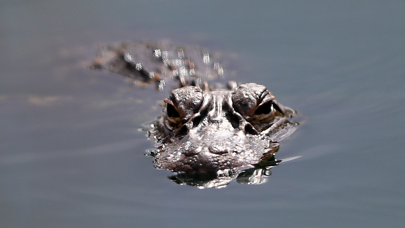 Trump dément avoir voulu protéger la frontière avec un fossé rempli d'alligators et de serpents