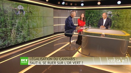 C'EST CASH ! Légalisation du cannabis : faut-il se ruer sur l'or vert ?