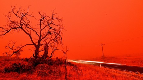 24 personnes arrêtées pour avoir déclenché des incendies en Australie