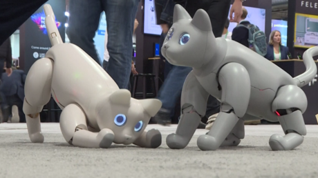 Des voitures volantes aux sextoys connectés : le CES de Las Vegas dévoile ses bijoux technologiques