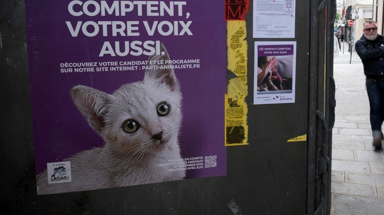 Municipales : le Parti animaliste, trublion des élections ?