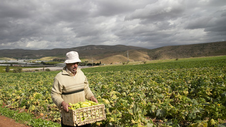Agriculteur palestinien dans la vallée du Jourdain.