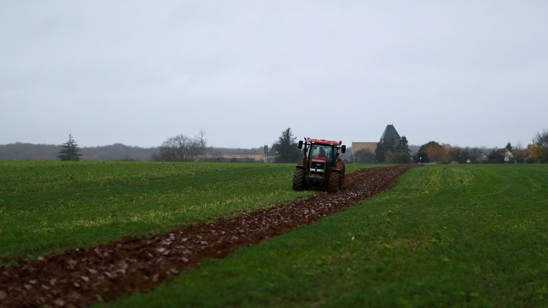 Covid-19 : des migrants envoyés ramasser des fruits et légumes chez les maraîchers de Seine-et-Marne