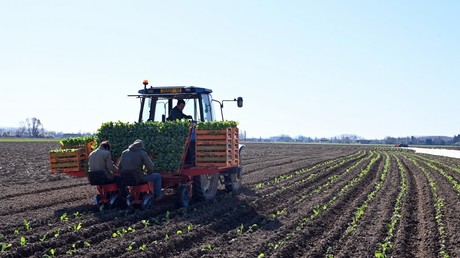 Le gouvernement appelle les Français sans activité à rejoindre «la grande armée de l'agriculture»