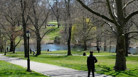 Coronavirus : un élu de New York évoque l'idée d'enterrements dans un parc