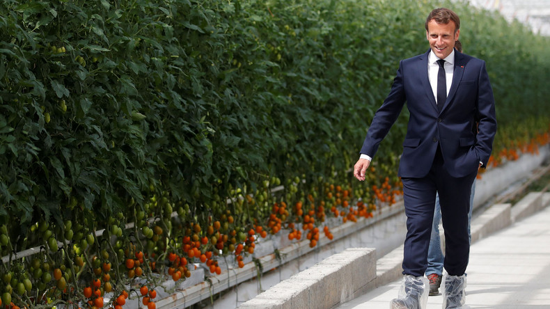 Georges Kuzmanovic : «Le principal obstacle à l’indépendance agricole française, c’est M. Macron»