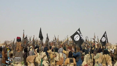 Un groupe affilié à l'Etat islamique photographié à Tongo Tongo au Niger, le 17 mai 2019 (image d'illustration).